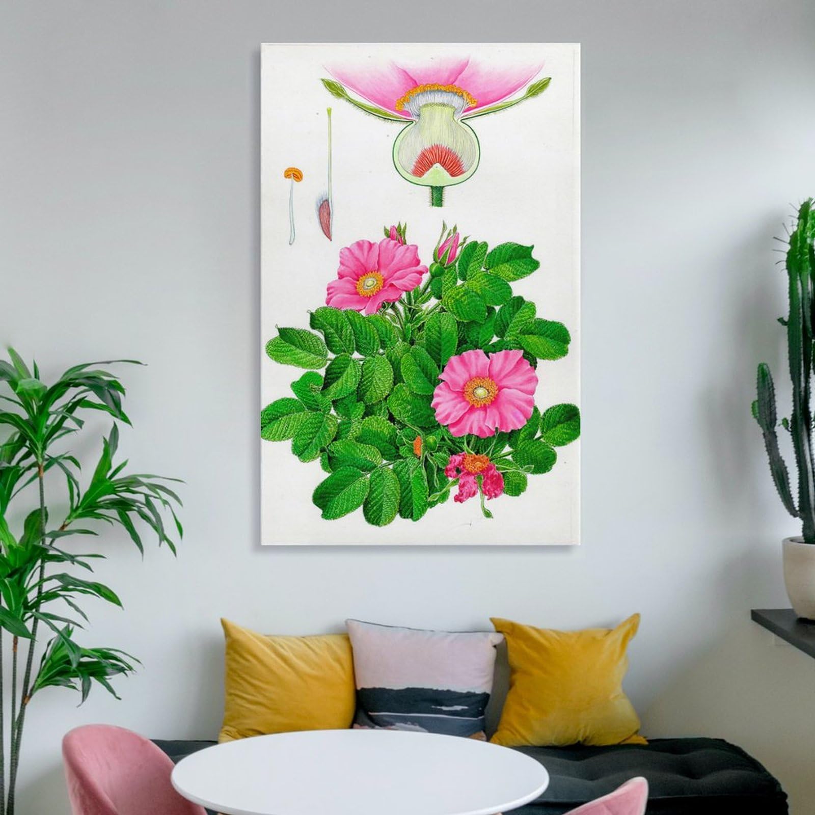 Amazon.co.jp: 水彩画 植物細密画「ハマナス」 ホーム装飾 アート